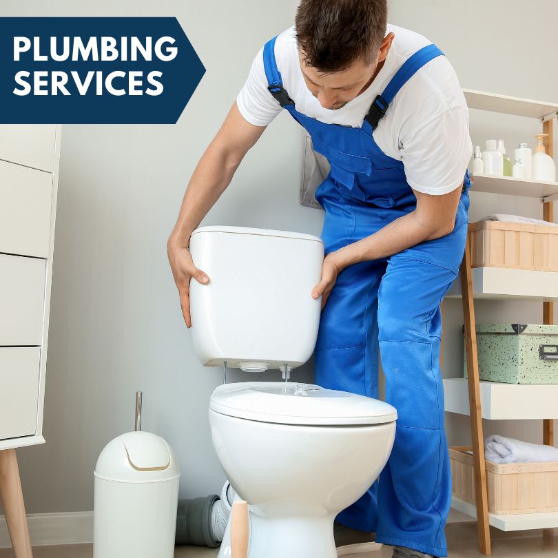 Plumbing Company in Scheller, IL